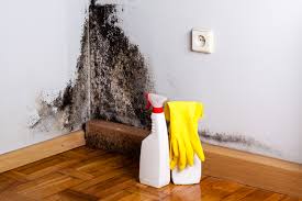 Best Attic Mold Removal  in New Brighton, PA